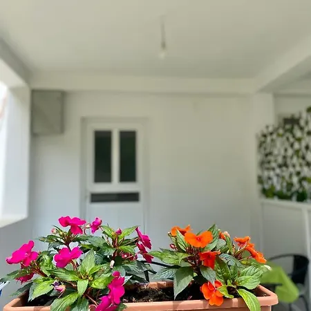 Apartmani Dragana Herceg Novi Exterior photo