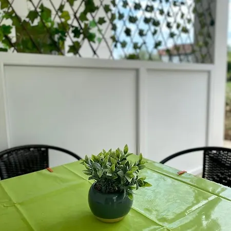 Apartmani Dragana Herceg Novi Exterior photo