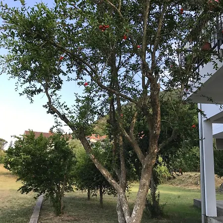 Apartmani Dragana Herceg Novi Exterior photo