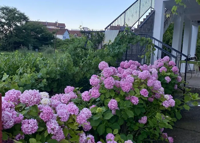 Apartmani Dragana