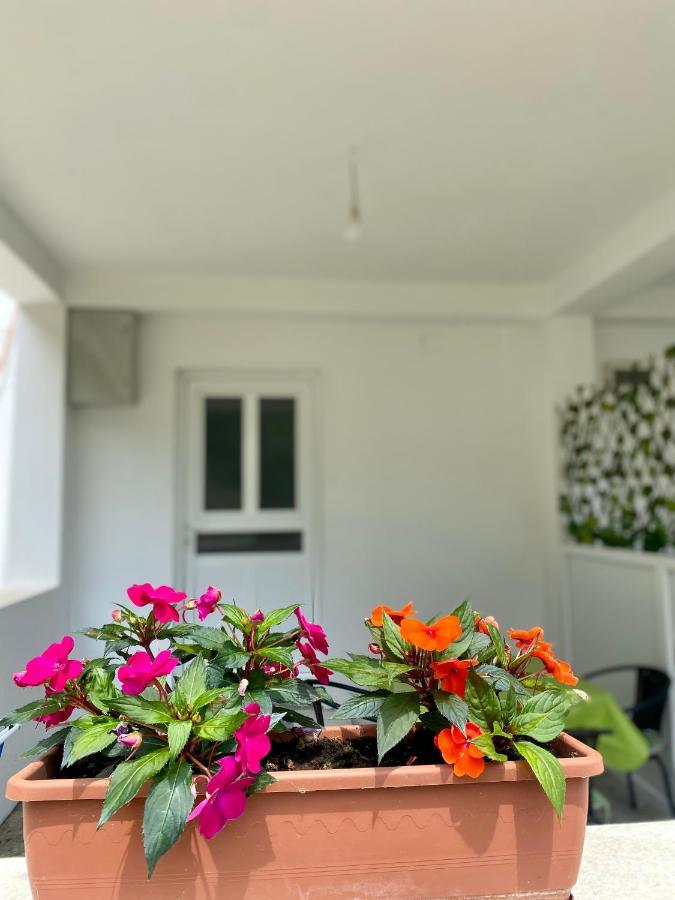 Dragana Apartment Herceg Novi
