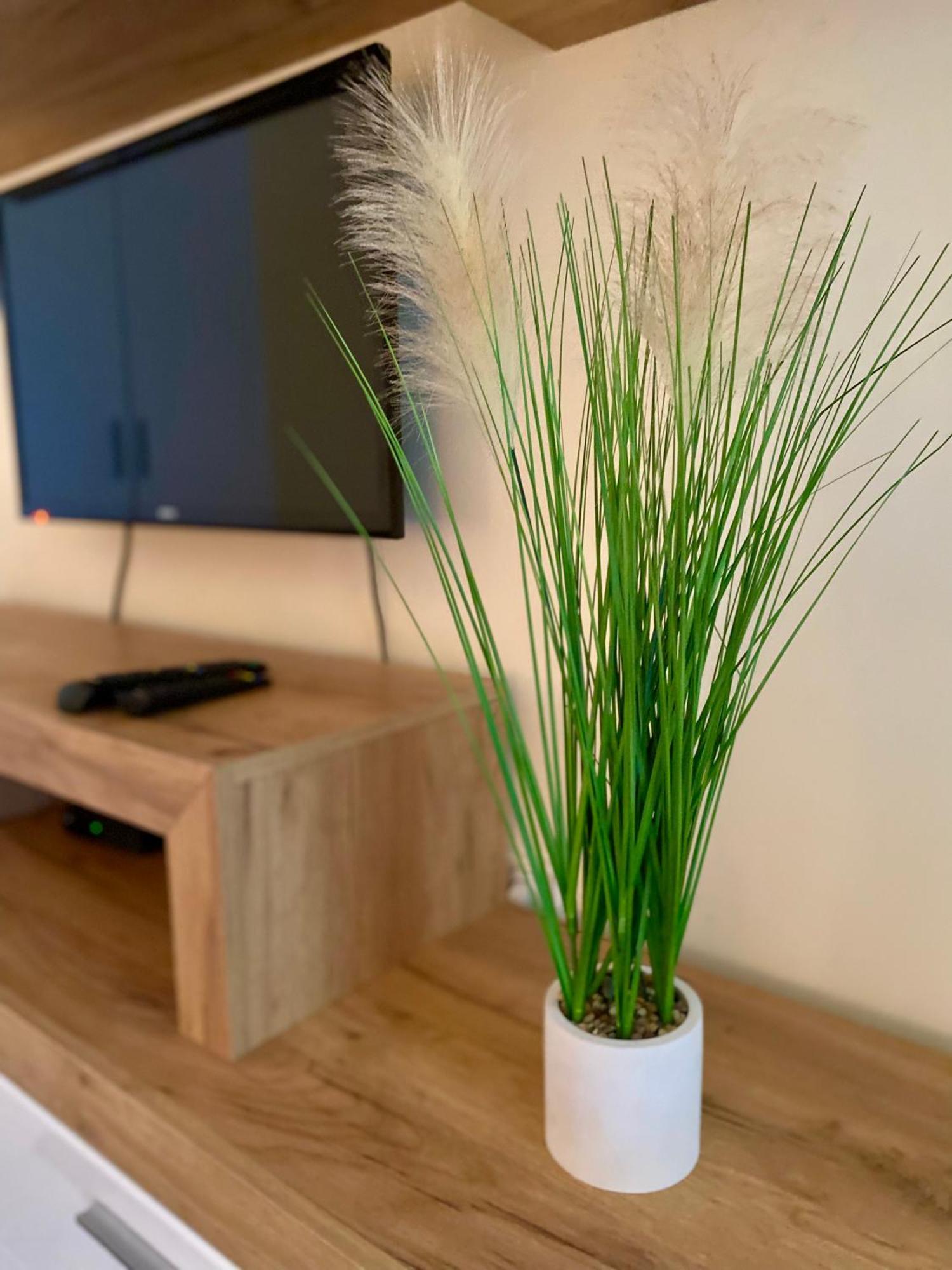 Dragana Apartment Herceg Novi
