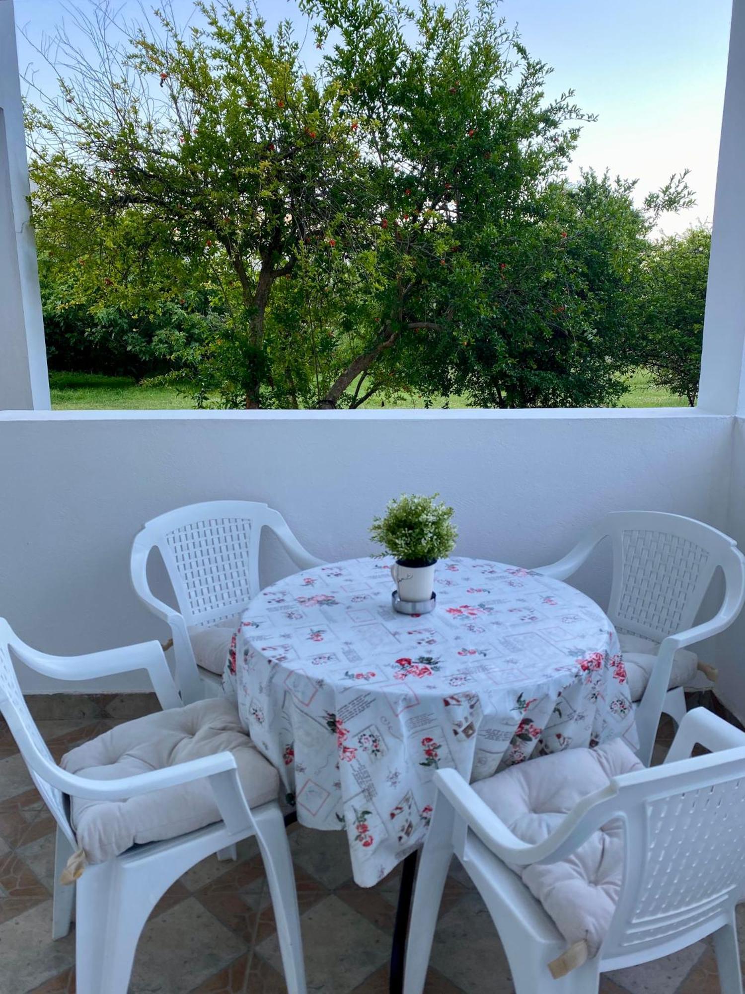 Apartment Dragana *