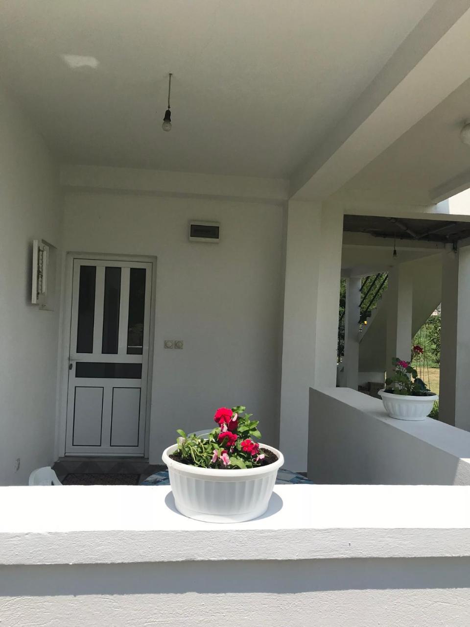 Apartment Dragana *