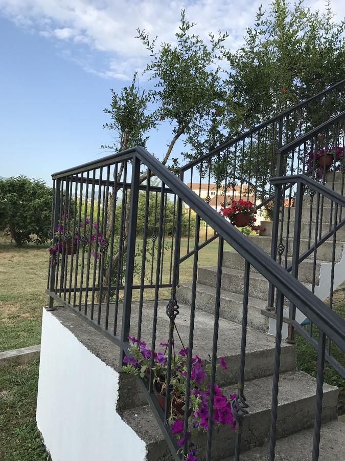 Dragana Apartment